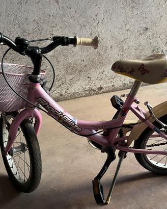 Bicicletta da 16