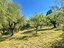 Immagine 23