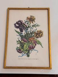 Quadro Vintage Stampa Botanica e Cornice Dorata