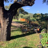 C a sale. Per occasioni