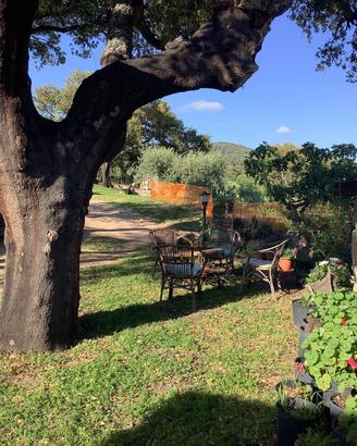 C a sale. Per occasioni