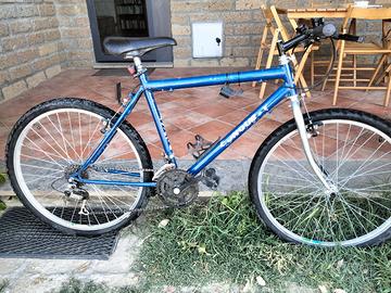 bicicletta 26