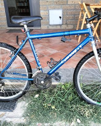 bicicletta 26