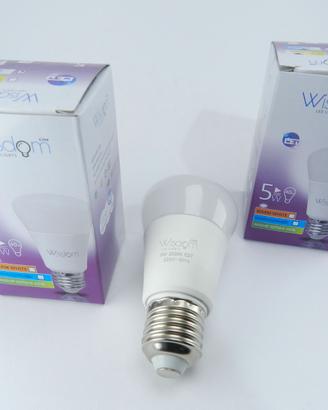 Kit Led 3 pezzi - lampadina Led 5w attacco grande