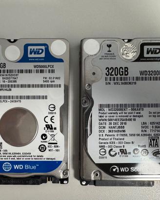 2 HDD WD – WD Blue 500GB + WD Black 320GB
