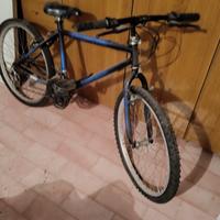 bicicletta