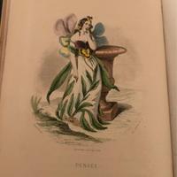 Libri antichi