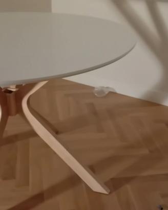 Tavolo Gales di Banak