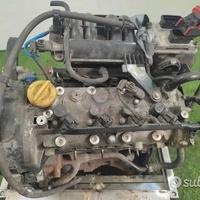 Lancia musa - 843a1000