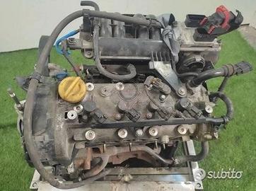 Lancia musa - 843a1000