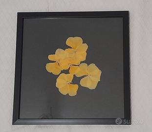 Quadri decorativi con fiori pressati 