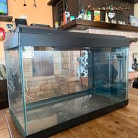 Acquario 80LT