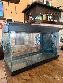 Acquario 80LT