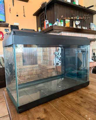 Acquario 80LT