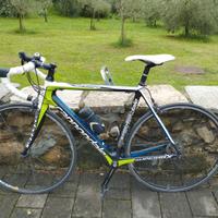 Bici da corsa carbonio