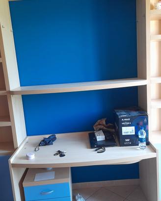 Scrivania e libreria