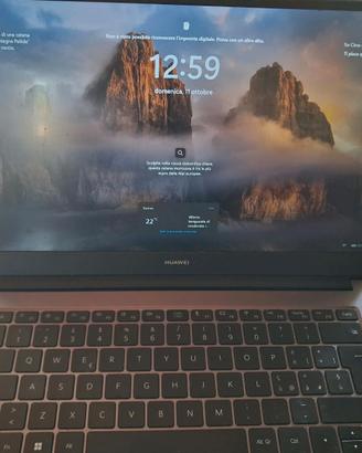 Portatile Huawei Matebook D14