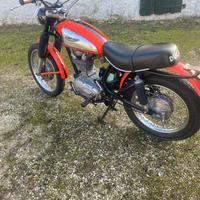 Ducati scrambler