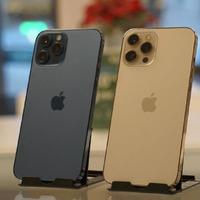 Iphone 12 pro max 256gb con caricatore scatola