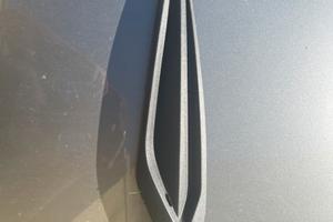 Carena phantom F12 R