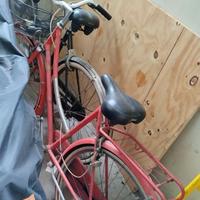 Bicicletta donna