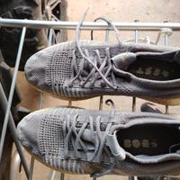 Adidas pulseboost