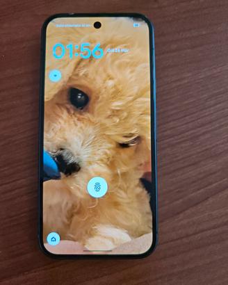 Google pixel 9