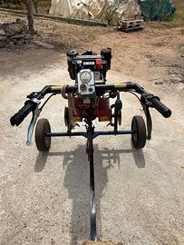 Motozappa Lombardini + carrello per trasporto