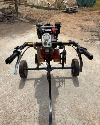 Motozappa Lombardini + carrello per trasporto