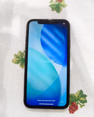 iPhone 11 