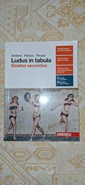 LUDUS IN TABULA. GRADUS SECUNDUS 9788808561749