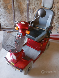 Quadriciclo elettrico per disabili e anziani