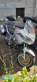 Guzzi Norge