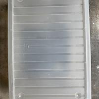 Contenitore trasparente con coperchio 27 L