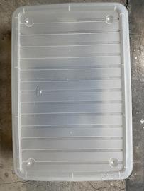 Contenitore trasparente con coperchio 27 L