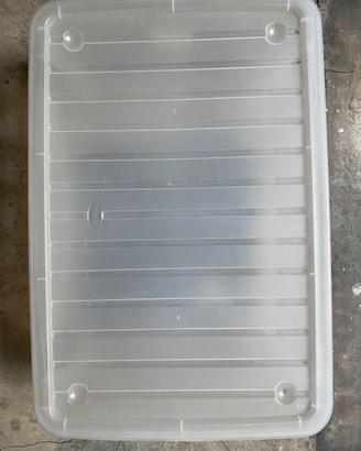Contenitore trasparente con coperchio 27 L