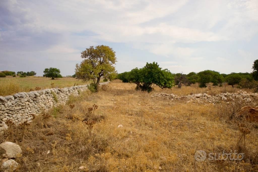 Terreno Agricolo di 27000 m² a Marina di Ragusa - Vista 5