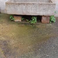 pila in pietra leccese 