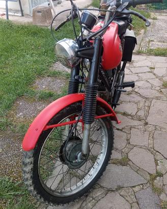 moto guzzi dingo 