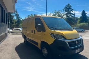 Fiat ducato tetto basso anno 2019 euro 6b mjt 2.3 