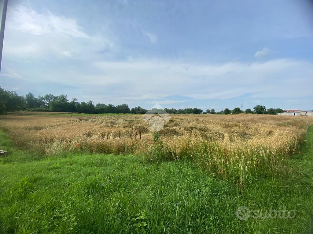 TER. AGRICOLO A SANT'ILARIO D'ENZA - Vista 4