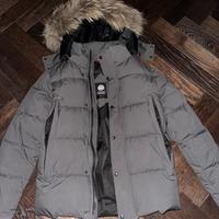 Canada Goose grey