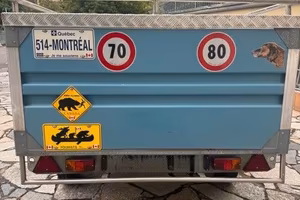 Rimorchio Trasporto uso Speciale