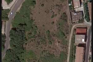 Terreno Foresta di Petilia Policastro