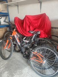 Mountain bike