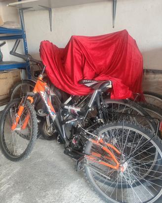 Mountain bike