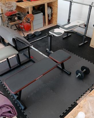 palestra 
