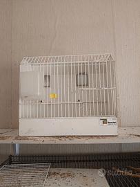 gabbie da mostra terenz