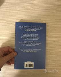 Il talento della rondine