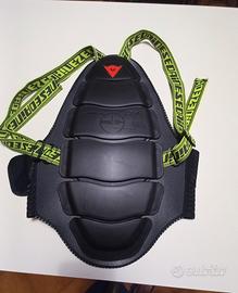 PARASCHIENA DAINESE